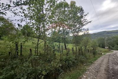 Teren cu priveliste spectaculoasa, 4000mp, la 18km de Sinaia Teren cu priveliste spectaculoasa, 4000mp, la 18km de Sinaia - 8