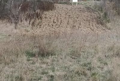 Teren de vânzare în apropiere de Herculane 10 km - 3