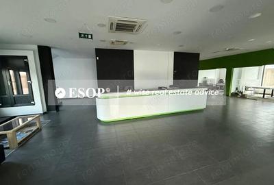 Spațiu comercial, de 1,950 mp, în Chitila - 9