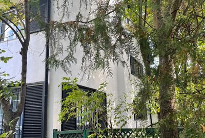 Iancu Nicolae vila 5 dormitoare gradina matura - 2