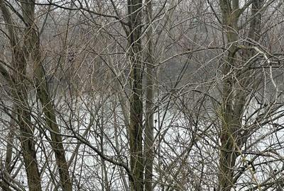 Spațiu comercial, în Batăr - 3