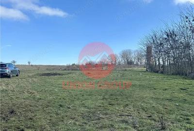 Teren de 1200 mp, în Sud