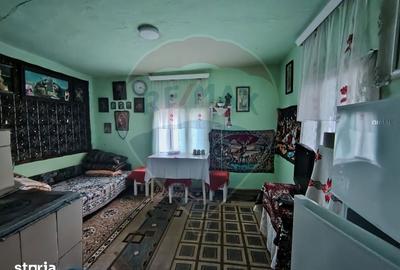 Casă cu 2 camere cu Teren 9287 Mp în Dorna-Arini - 14
