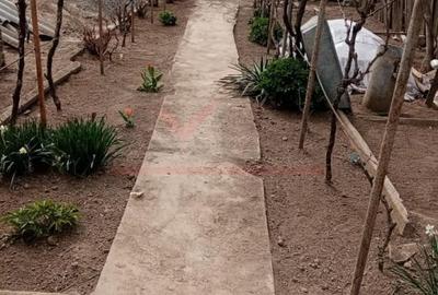 Casa noua neterminata cu teren 2.026 mp, in Lunca – Tulcea - 4