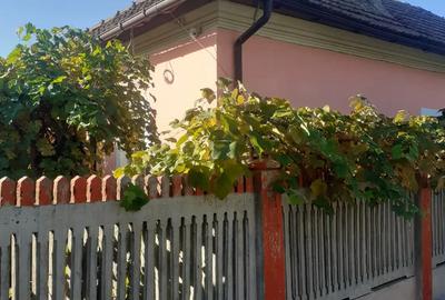 Vind casa sat devesel jud mehedinti - 2