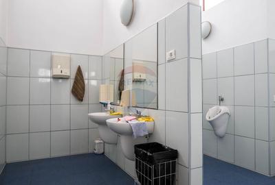 Oportunitate de investitie-vanzare spatiu industrial 6500mp, Cernica - 30