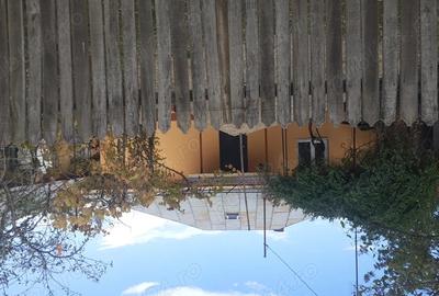 Vand casa batraneasca renovata, in Udupu Teleorman - 1