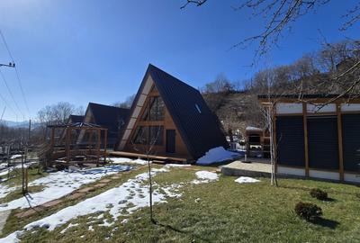 Casă cu 3 camere în Valea Doftanei - 6