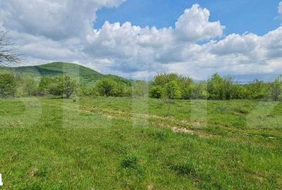 Teren de 1500 mp, în Central - 3