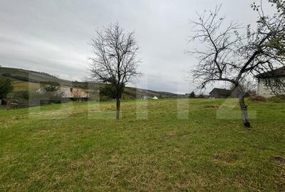 Casa individuala, 3300 mp teren, zona Sintereag - 6