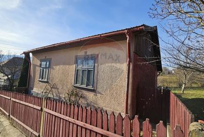 Casă cu 3 camere cu Teren 900 Mp în Cacica - 3