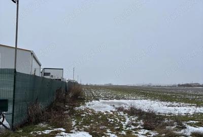 Teren de 1250 mp, în Brănești