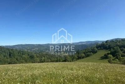 Teren intravilan de vanzare 11.136 mp | ALBAC | CU POSIBILITATE DE PARCELARE | - 3