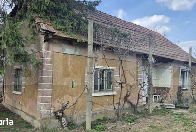 Casă cu 2 camere cu Teren 1399 Mp în Micula - 11