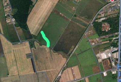 Teren Construcții intravilan de 8000 mp, în Corbeanca - 3