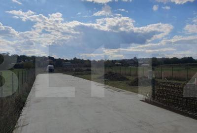 Teren Rachiti | 2245MP - 6