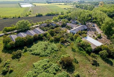 Cladire industriala de vanzare cu potential 3,5 ha in Batania - 25