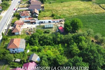 Casă cu 4 camere cu Teren 1730 Mp în Mihăești - 8