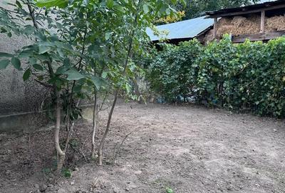 Casa Ciochina, Ialomi?a, 4 camere, 1644mp teren - 7