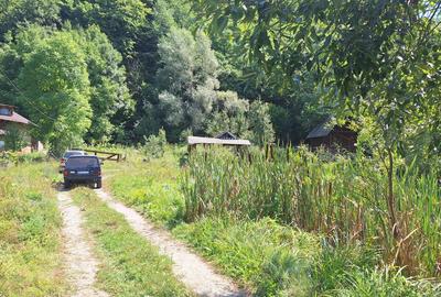 VANZARE ANSAMBLU CASUTE BRADULET ARGES - 23