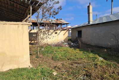 Casă individuală cu 4 camere cu Teren 1634 Mp în Vasile Alecsandri - 3