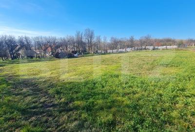 Teren intravilan, 2589 mp, Certificat de urbanism, Rediu, com. Aiton - 3