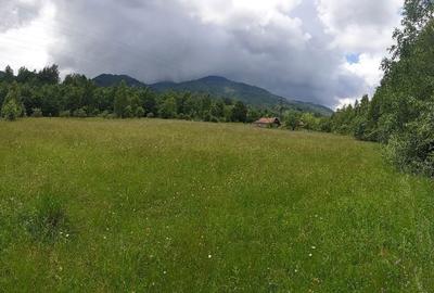 Teren de 12000 mp, în Uric - 6