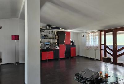 4 camere+mansarda suprafata 160 mp - 2