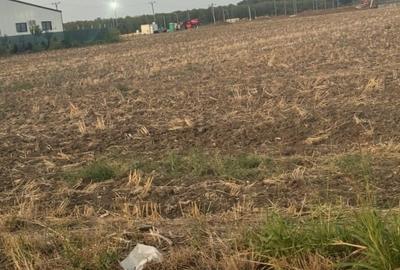 Teren Construcții intravilan de 2500 mp, în Brănești - 2