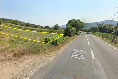 Teren Construcții intravilan de 3000 mp, în Berzasca - 5