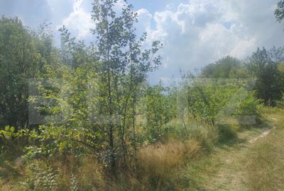 Teren intravilan, 5857 mp, Baltati, Horodnicu de Sus - 4