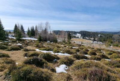 Spațiu comercial, în Măguri - 5