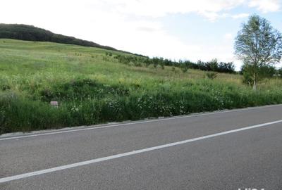 Teren de 3600 mp, în Gârcina - 6