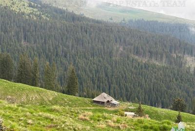 SUPER OPORTUNITATE, DE VANZARE O PROPRIETATE SPECIALA, MUNTE - 18