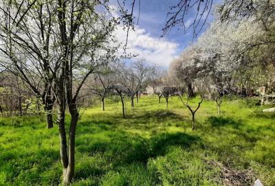 Spațiu comercial, în Sânandrei - 2