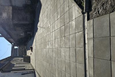 Casa cu 3200mp teren - 1