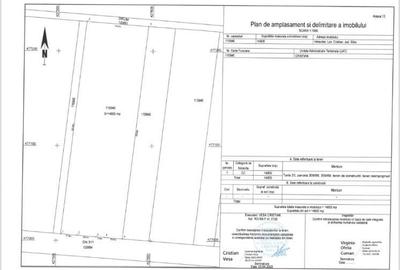 Teren Construcții intravilan de 14800 mp, în Cristian - 10