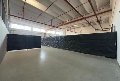 Depozit cu rampa 130mp, zona Egros - 10