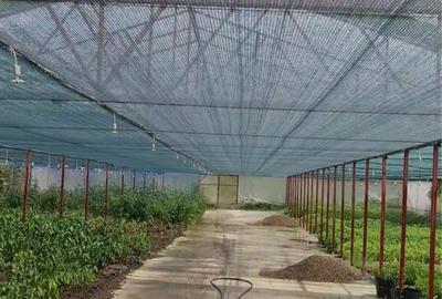 Teren de 10000 mp, în Blăjenii de Jos - 4