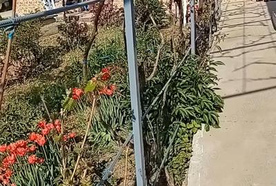 Casă cu 5 camere în Pechea - 1
