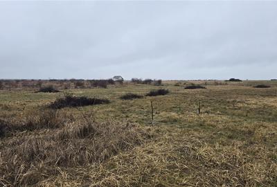 RECO teren extravilan Oradea zona Grigorescu - 1