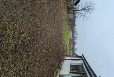 Casă în Garoafa - 2