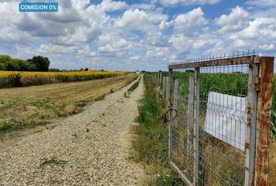 Teren agricol 9100 mp - 45.500€ - 1