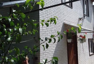 Casă cu 4 camere în Central - 2