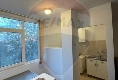 De Închiriat Garsoniera, Tătărași - Str. Vasile Lupu 0% comision - 4