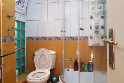 .DOMENII,2 CAMERE IN VILA,MOBILATE,TERASA,CURTE,CENTRLA PROPRIE.600 EURO - 3