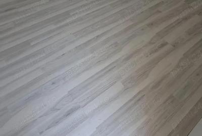 Apartament cu 2 camere decomandat în Lunca Cetățuii - 4