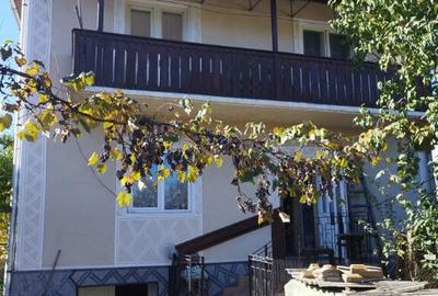 Somcuta Mare, casa D+P+1, 22 ari teren - 11