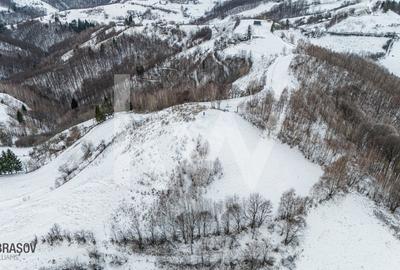 Teren Extravilan Poiana Marului  include varful Cetatuia 942m, zona Vulcanita - 5