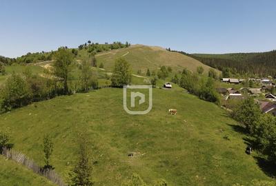 Parcelez teren 6514mp intravilan Manastirea Humorului - 5